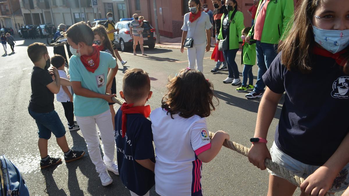 Un carretón enmaromado en el Día Grande de las Fiestas del Toro de Benavente