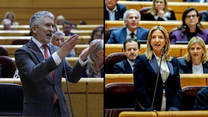 BRONCA SENADO PP PSOE | Tenso rifirrafe en el Senado: Marlaska pide a la portavoz del PP que «no sea niña» y esta le acusa de «machista»