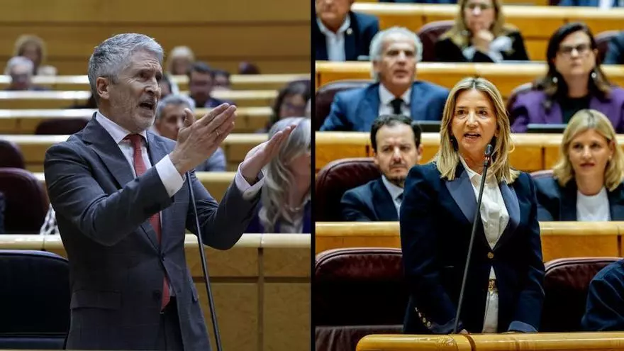 Tenso rifirrafe en el Senado: Marlaska pide a la portavoz del PP que "no sea niña" y esta le acusa de "machista"