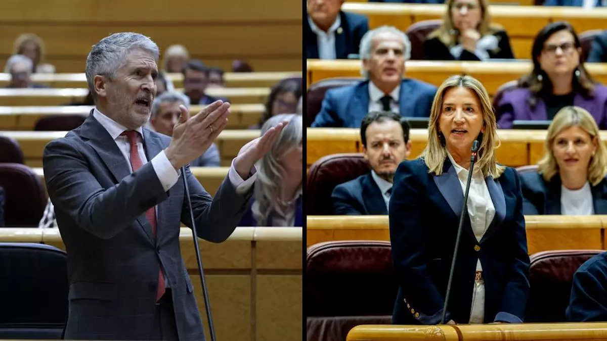 Tenso rifirrafe en el Senado: Marlaska pide a la portavoz del PP que "no sea niña" y esta le acusa de "machista"