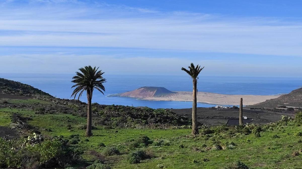 Manto verde en el norte de Lanzarote tras las lluvias de diciembre de 2025