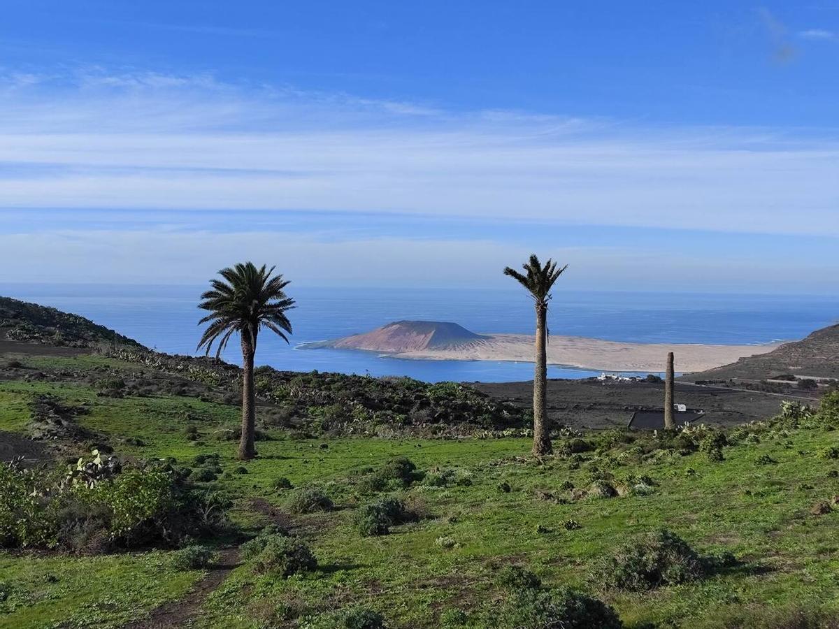 Los campos del norte de Lanzarote se tiñen de verde por las lluvias del invierno