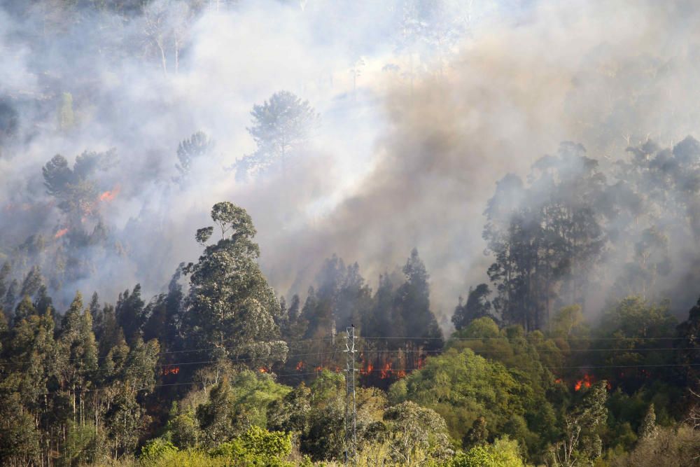 Incendios en Asturias