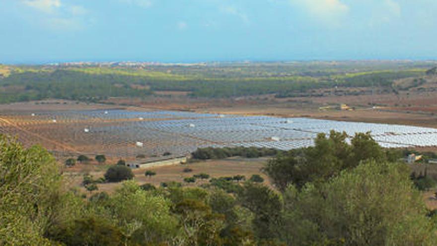 So soll der fertige Solarpark bei Manacor einmal aussehen.