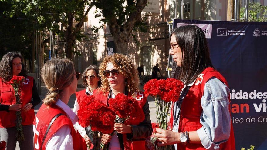 Cruz Roja Córdoba reivindica con 4.000 claveles la igualdad de oportunidades laborales