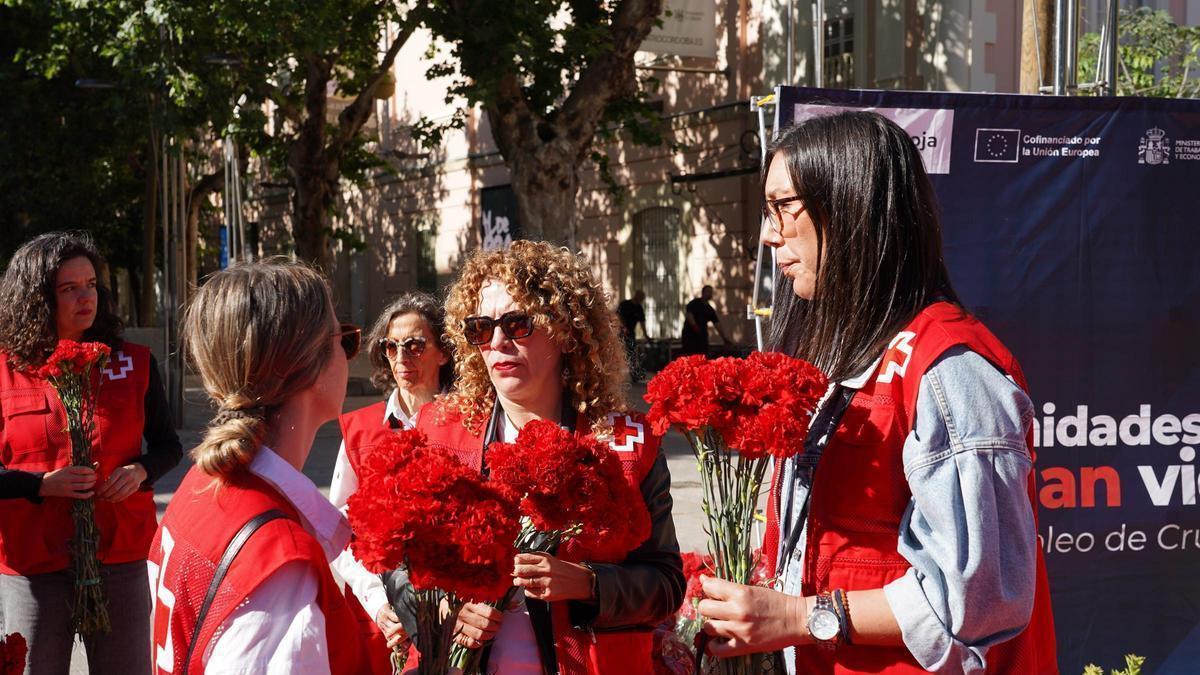 Actividad 'Clavel por la Igualdad' de Cruz Roja en Córdoba.