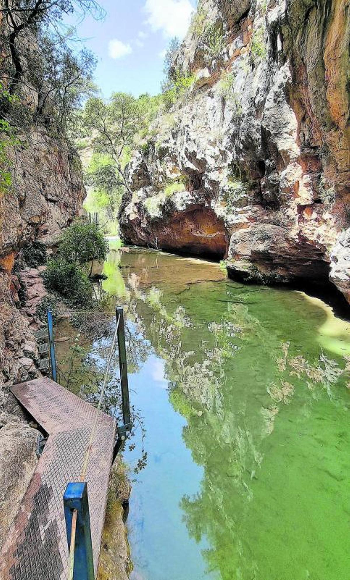 El paisaje está jalonado de vegetación propia de los bosques de ribera