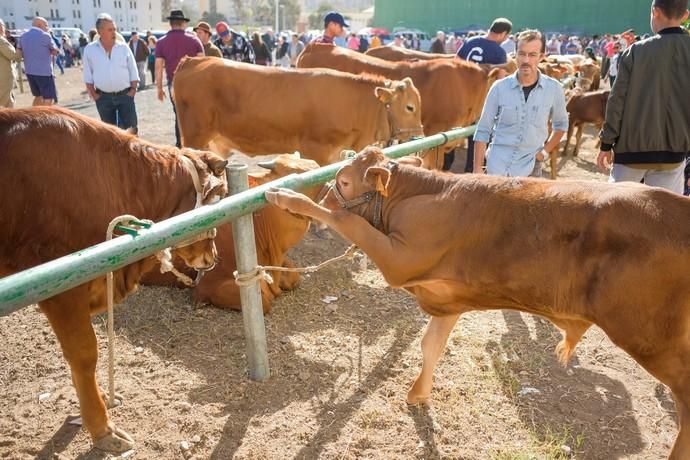 FIESTAS DE JINÁMAR