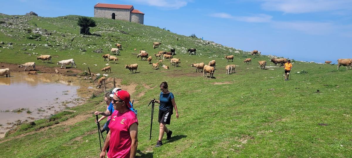 Una ruta organizada por los Amigos del Monsacro.