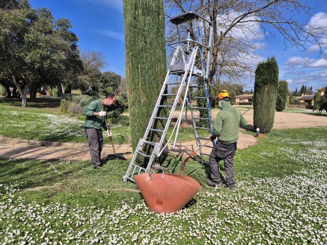 Patricio e Iván, propietarios de una empresa de jardinería:  "El año pasado ya facturamos más de un millón de euros"