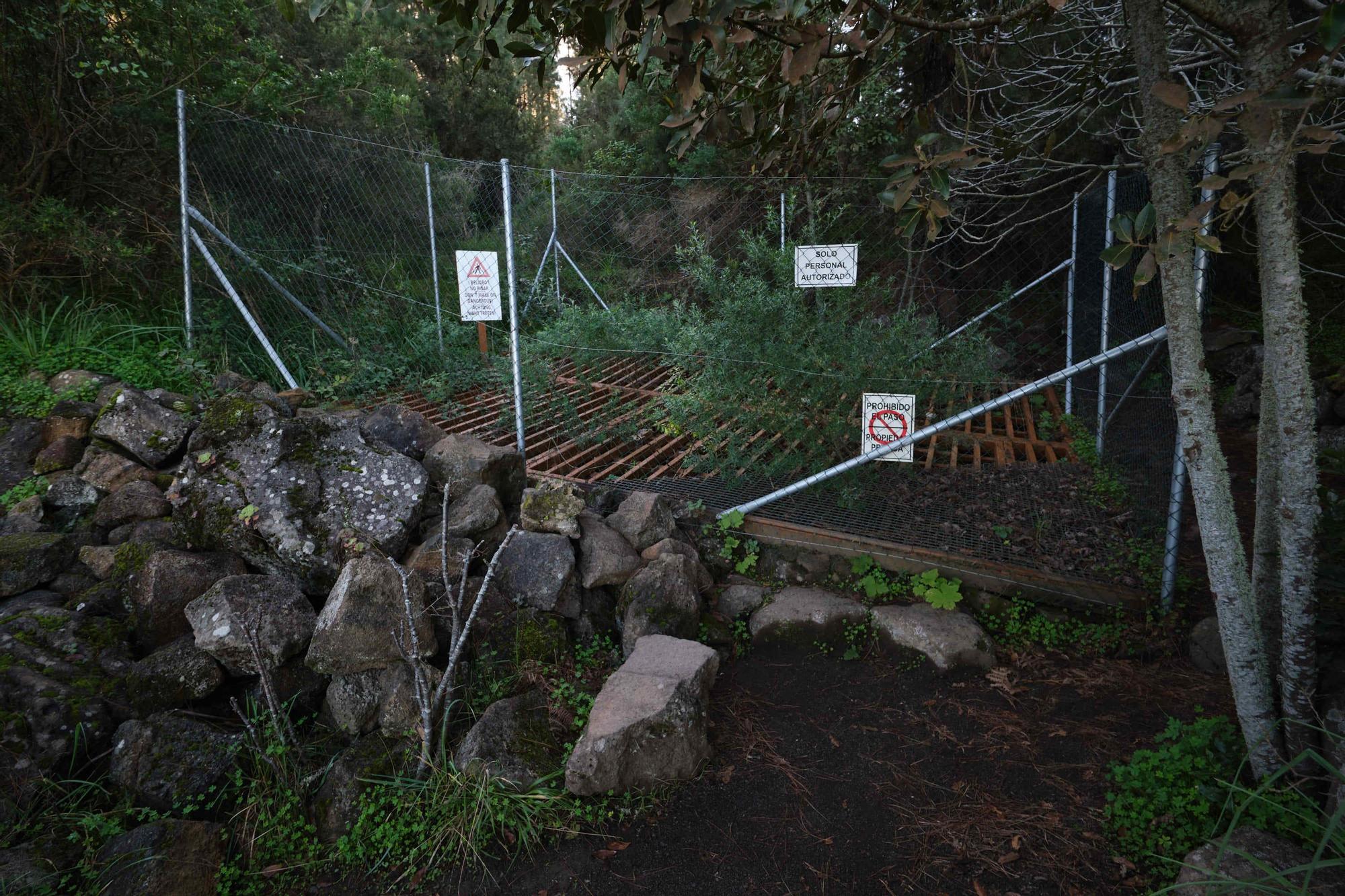 Cueva del Viento en Tenerife