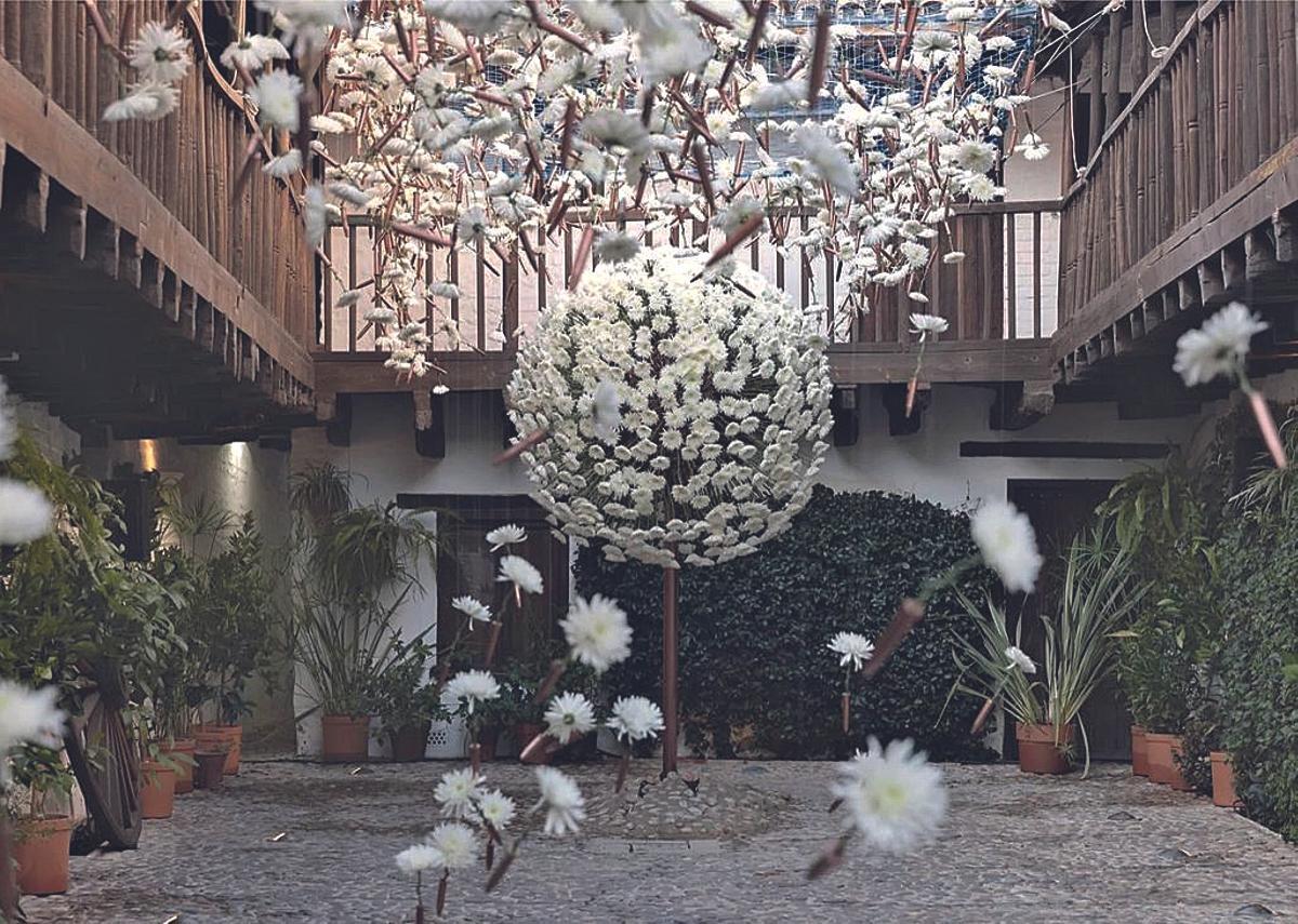 Carolina Estévez (Terabita) presentó 'Desideratum', Premio del público.