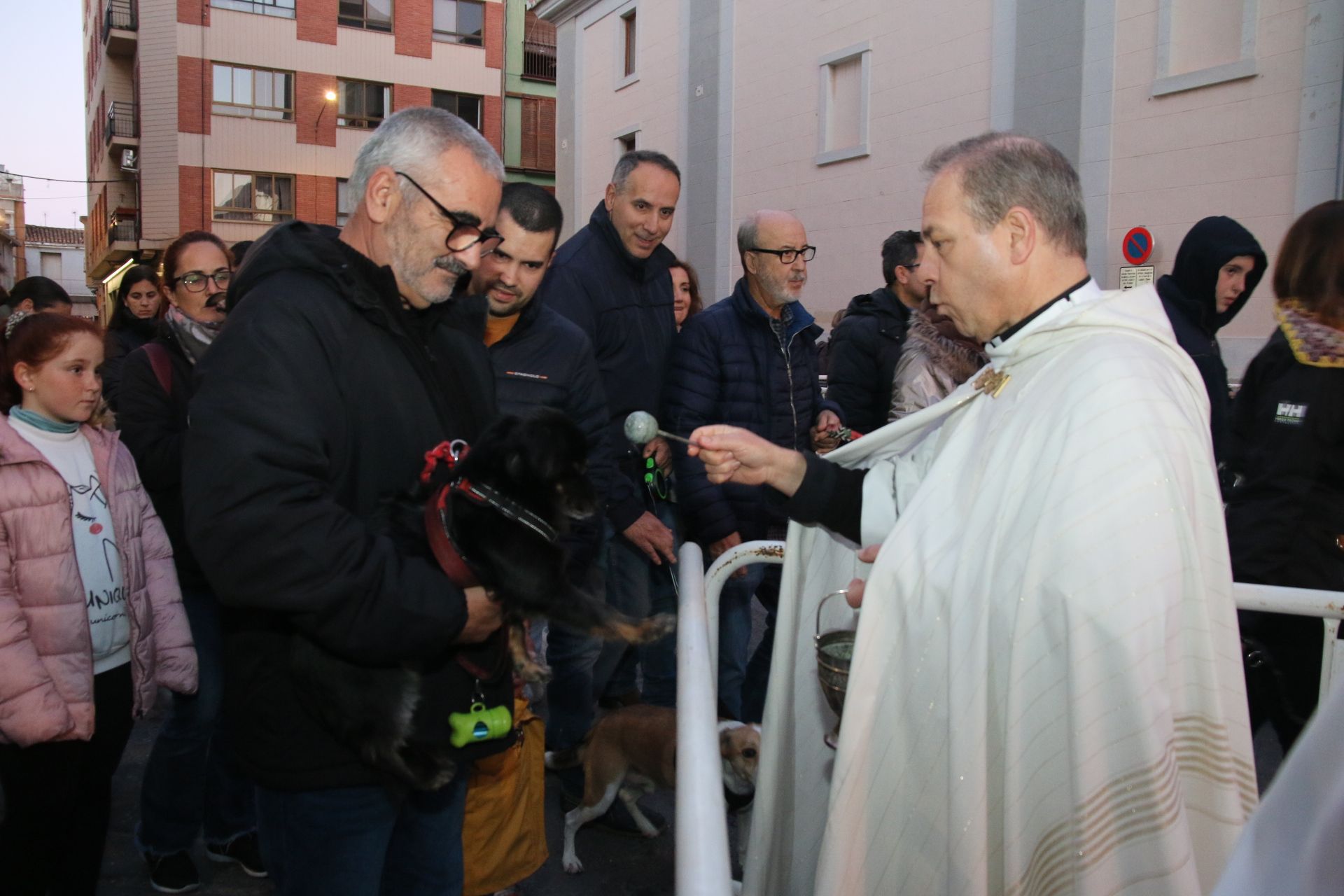 Así han celebrado Sant Antoni en Burriana