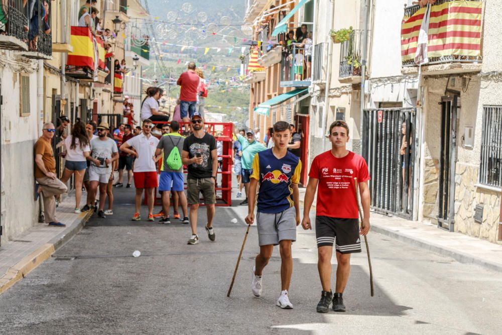 "Entrà de les Vaques" de Tibi