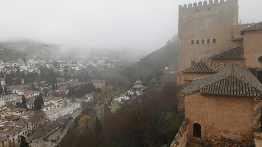 Herida grave una menor por la caída de una rama en los jardines de la Alhambra