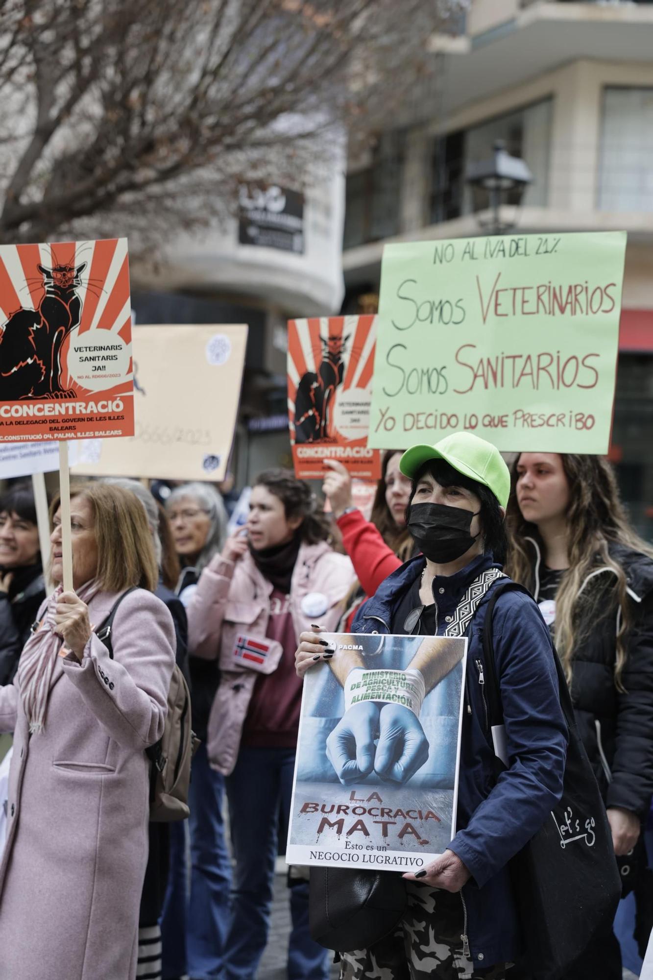 Los veterinarios de Baleares vuelven a plantarse ante el nuevo decreto: "Es un paso atrás en la lucidez científica"