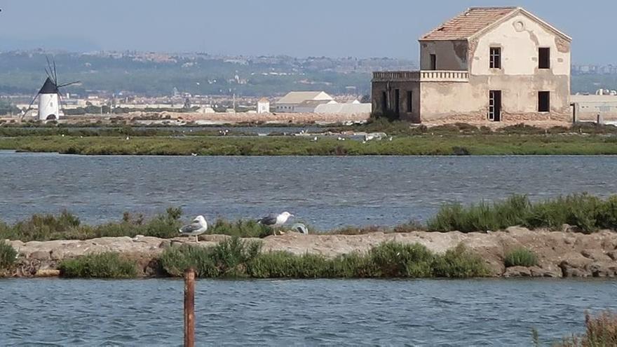 Imagen del estado actual de la encañizada del Ventorrillo, que pertenece al término municipal de San Javier, cerca del parque de Las Salinas.