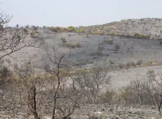 Solo dos pueblos de Córdoba carecen de planes contra incendios forestales