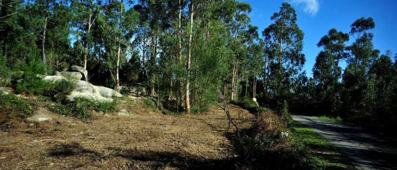 Los terrenos de O Pousadoiro donde se pretende instalar la planta de reciclaje de conchas. // Iñaki Abella