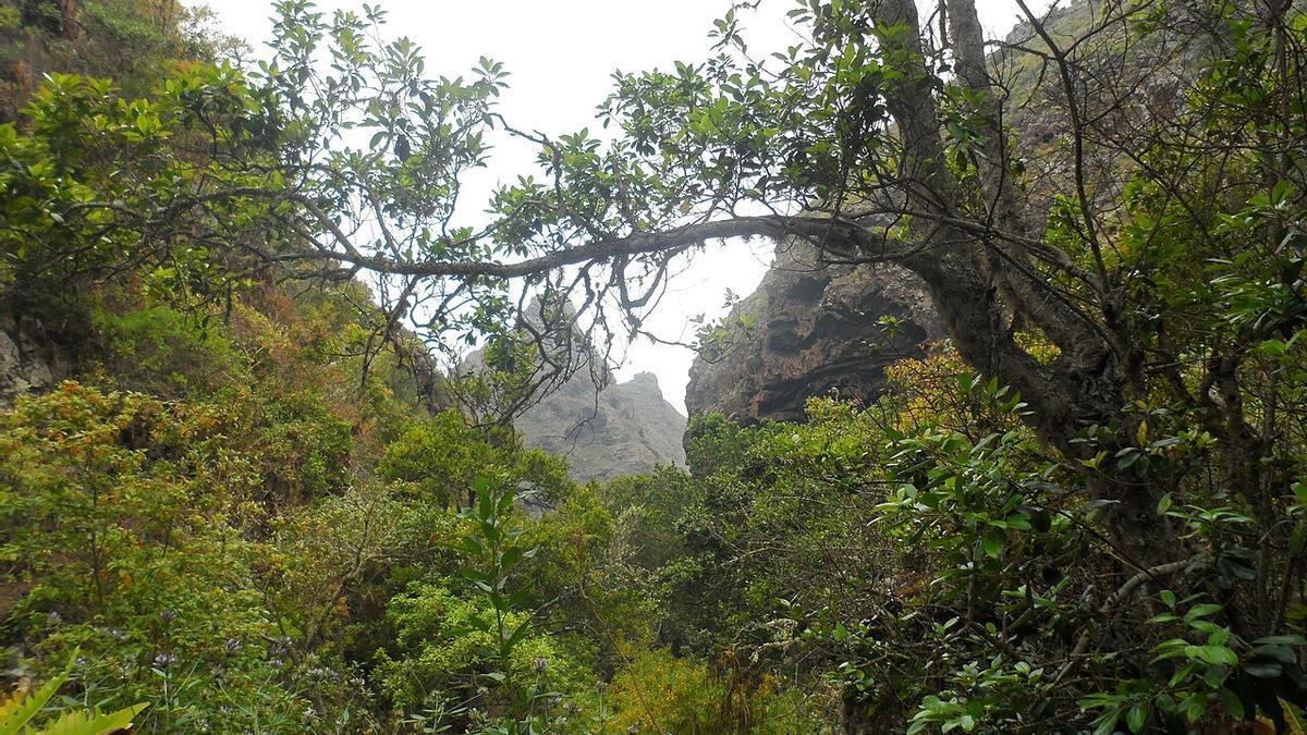 Monte del Agua a la altura de Cuevas Negras.
