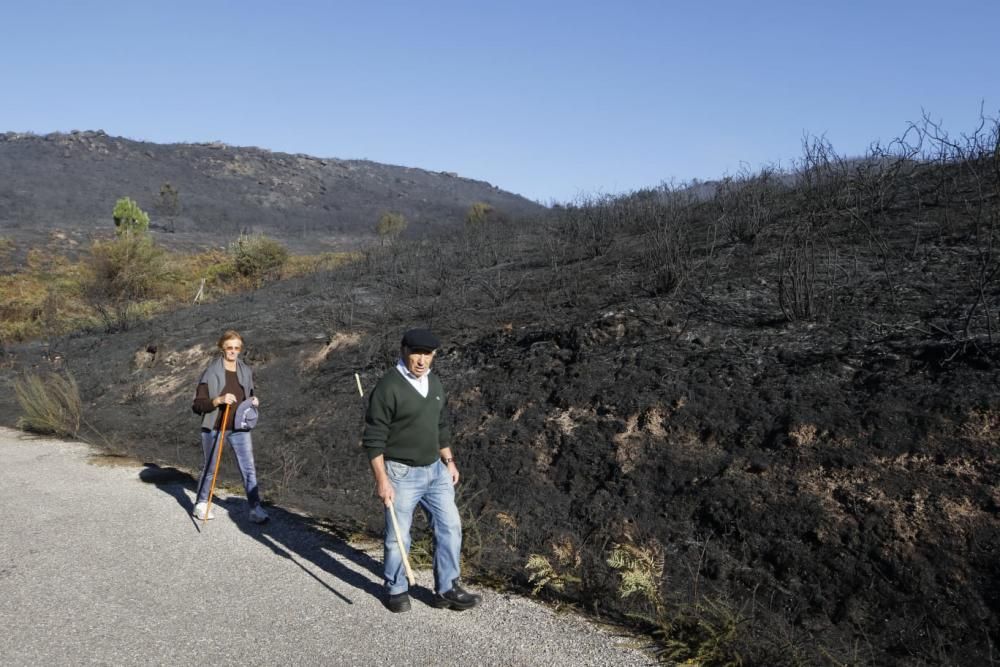 Incendios en Galicia | El fuego asola Mondariz