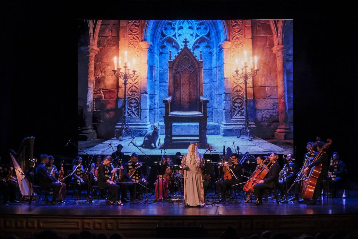 Concierto 'Harry Sinfónico' en el Teatro Pérez Galdós
