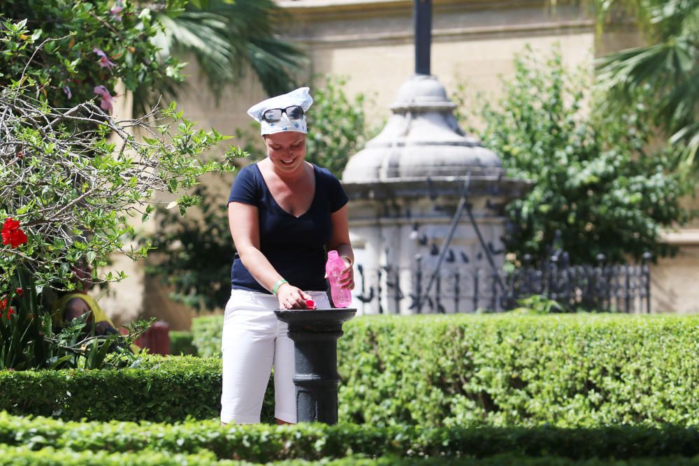 El viento de terral eleva la temperatura en la capital y varios puntos de la provincia