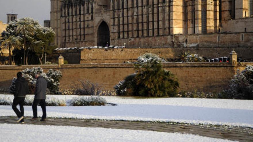 La Catedral de Palma nevada.