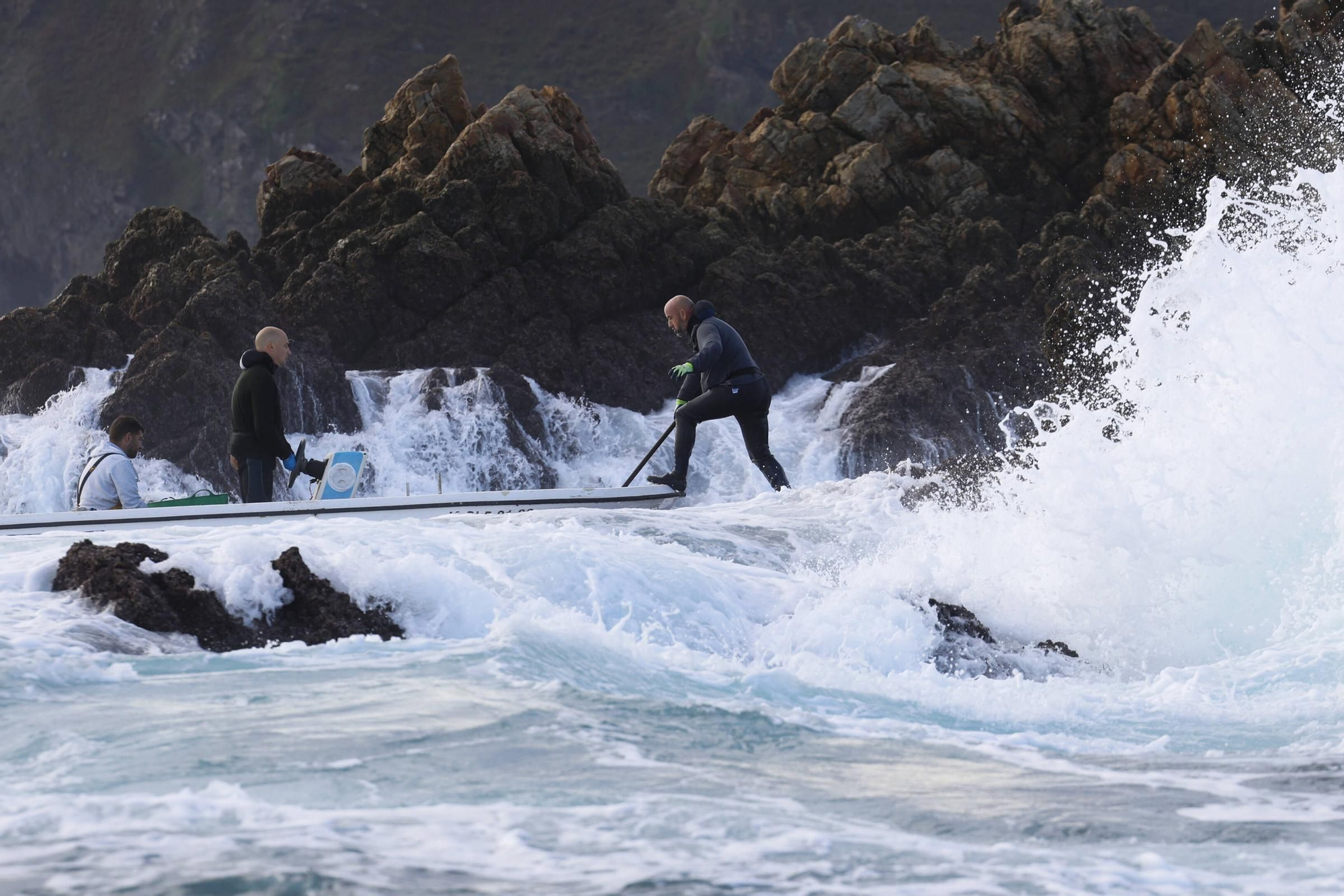 EN IMÁGENES: Así es la dura jornada de los perceberos del cabo Peñas: un oficio de alto riesgo a merced de las olas