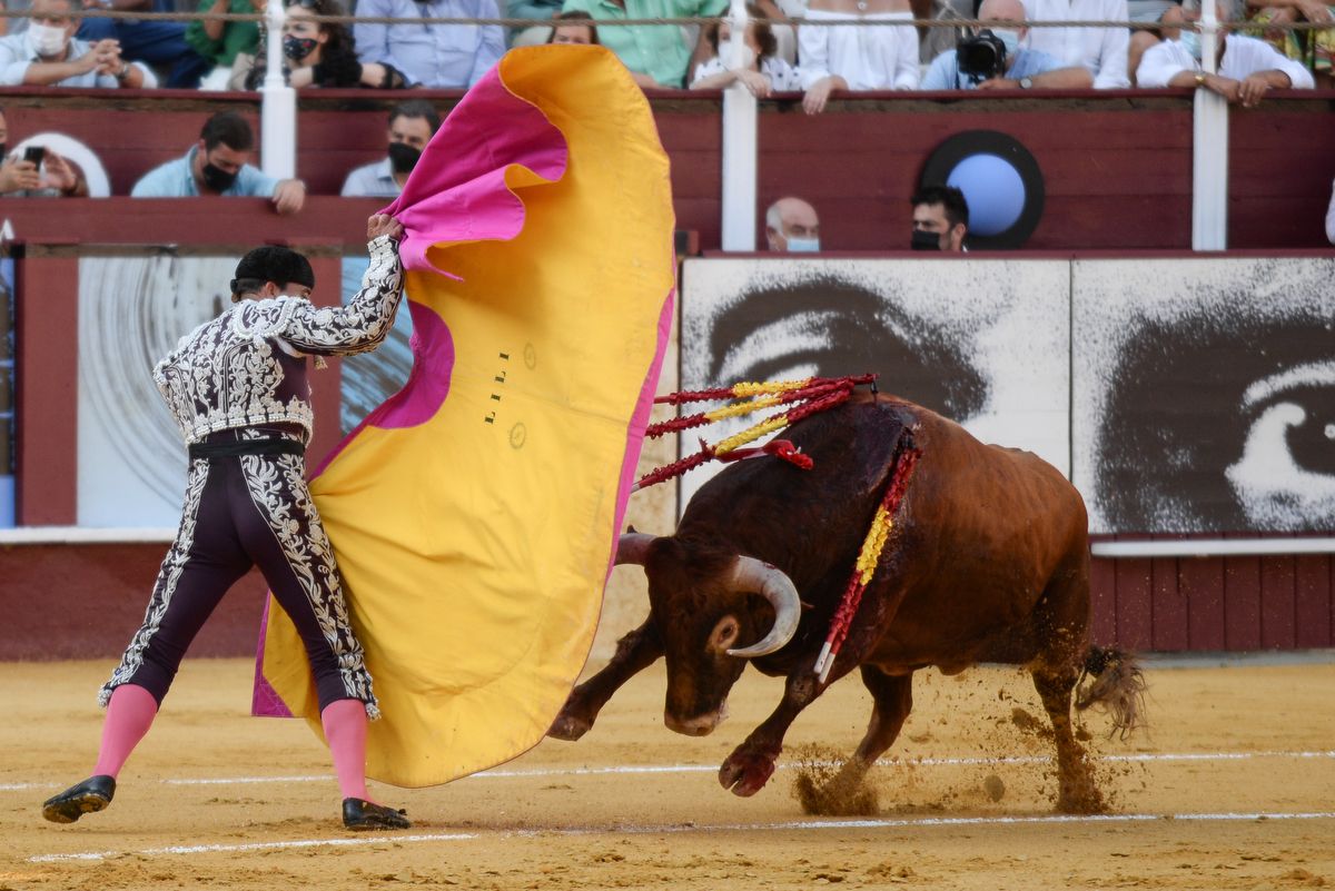 Los toros vuelven a La Malagueta