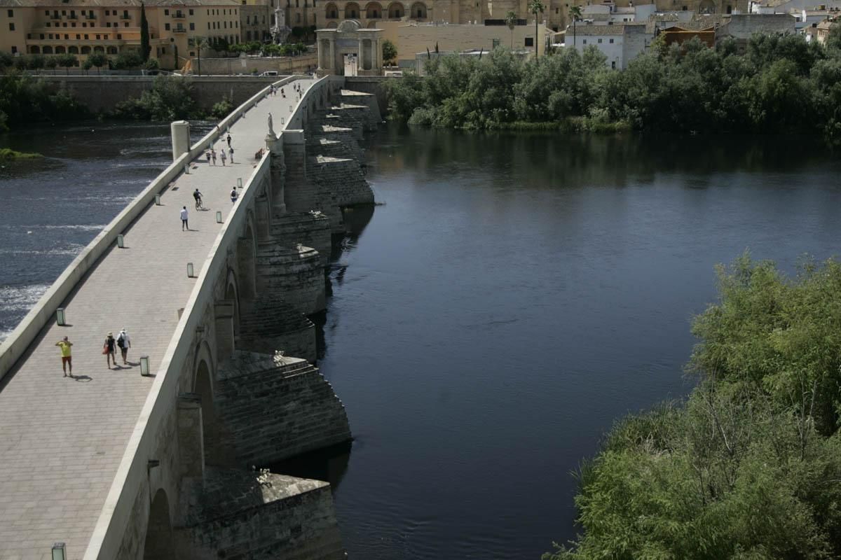 Fotogalería / Vertido de orujo en el Guadalquivir