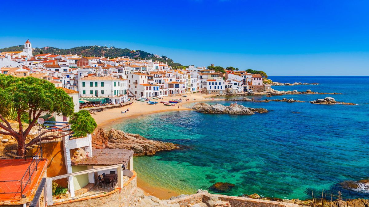Las playas en España con mayor probabilidad de picadura de medusa, las más pequeñas son las más peligrosas