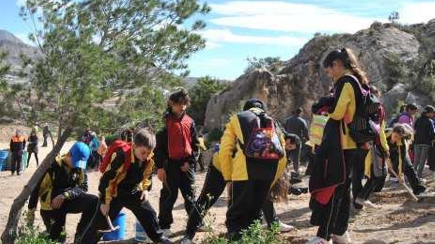 Grupo de escolares en las tareas de reforestación en Novelda.