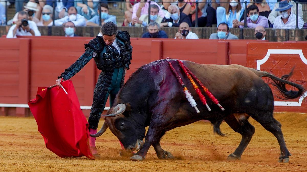 Urdiales con la muleta al segundo toro de la tarde, al que ha cortado dos orejas.