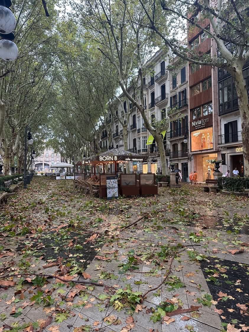 Die Auswirkungen des Unwetters in Palma.