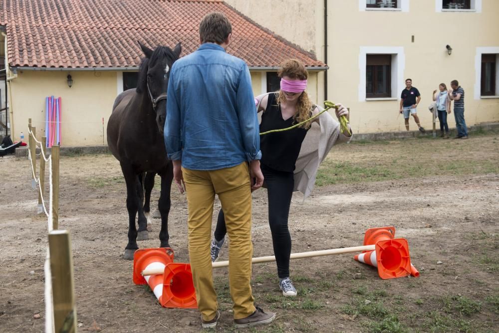 'Coaching' con caballos para empresarios