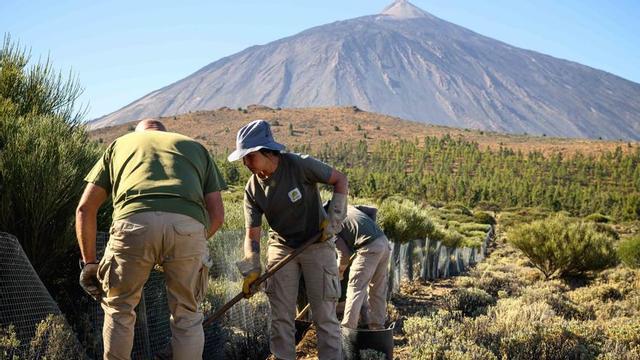 Imagen general del Teide.