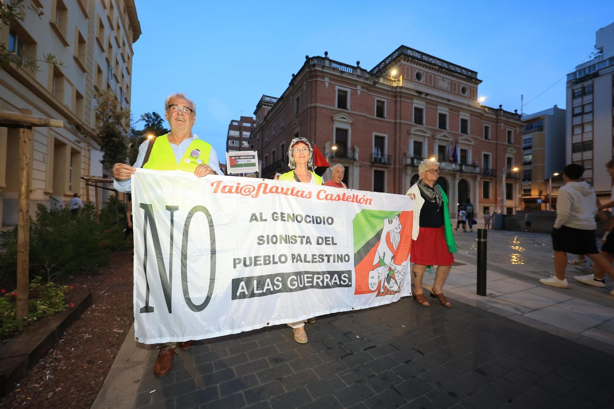 Galería de imágenes: Castellón sale a la calle en defensa de Palestina