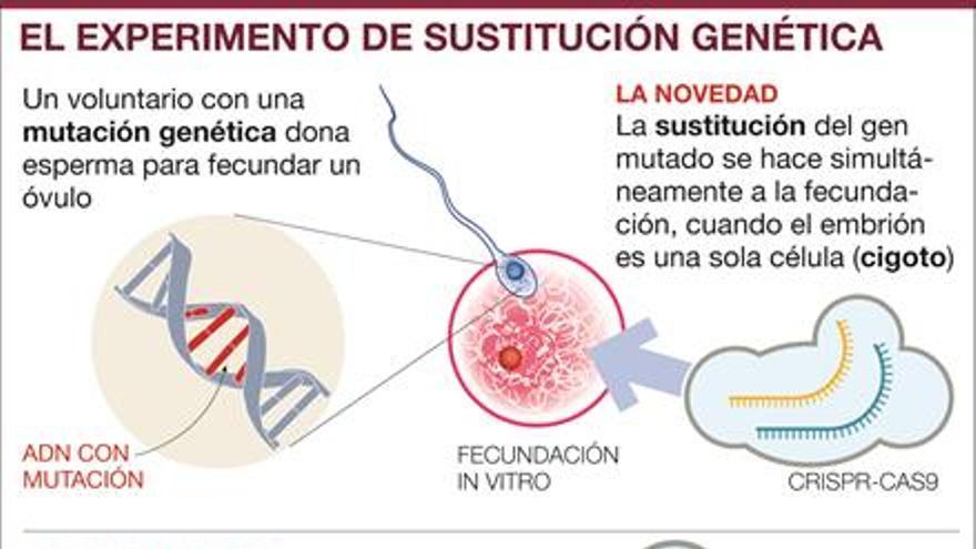 La ciencia corrige en embriones una grave enfermedad genética