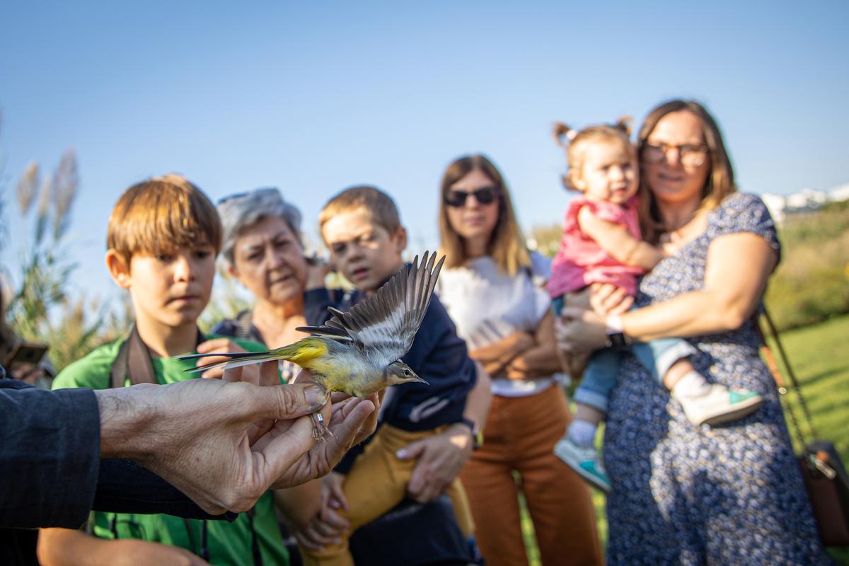 La fiesta de Va de Besòs, en el Parc del Litoral del Besòs