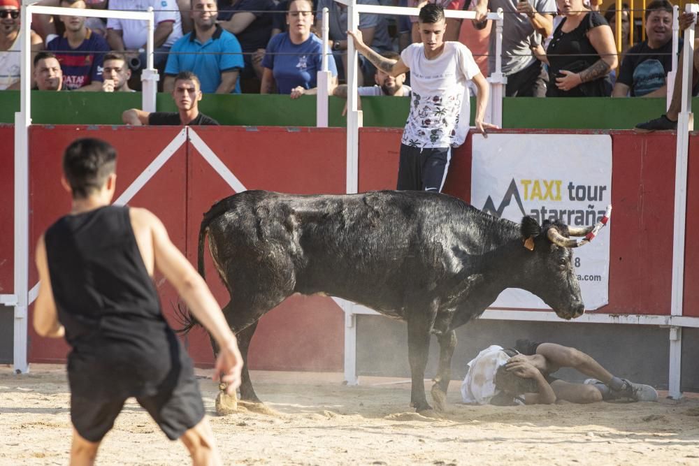 Vidreres celebra els correbous entre les protestes dels animalistes