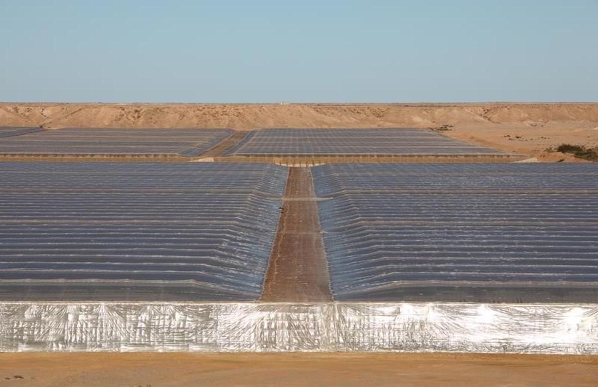 Invernaderos para el cultivo de tomates y otras hortalizas en Marruecos.