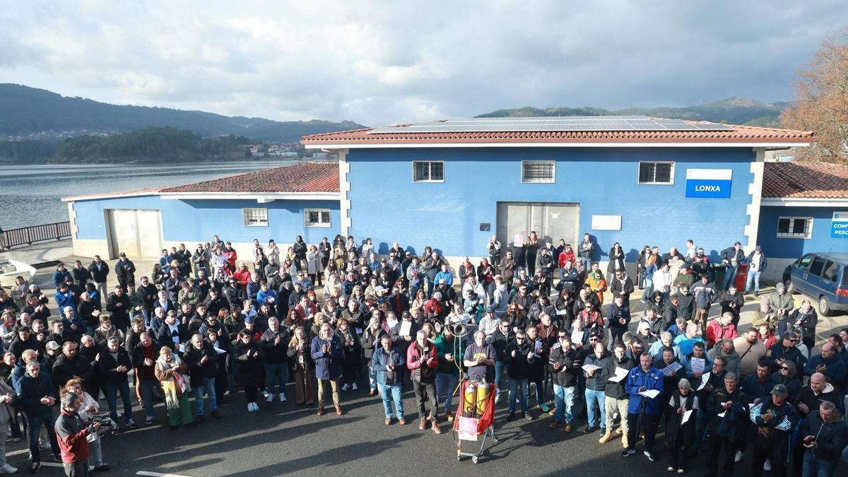 La concentración de la pesca de la provincia de Pontevedra en Arcade / Jose Lores