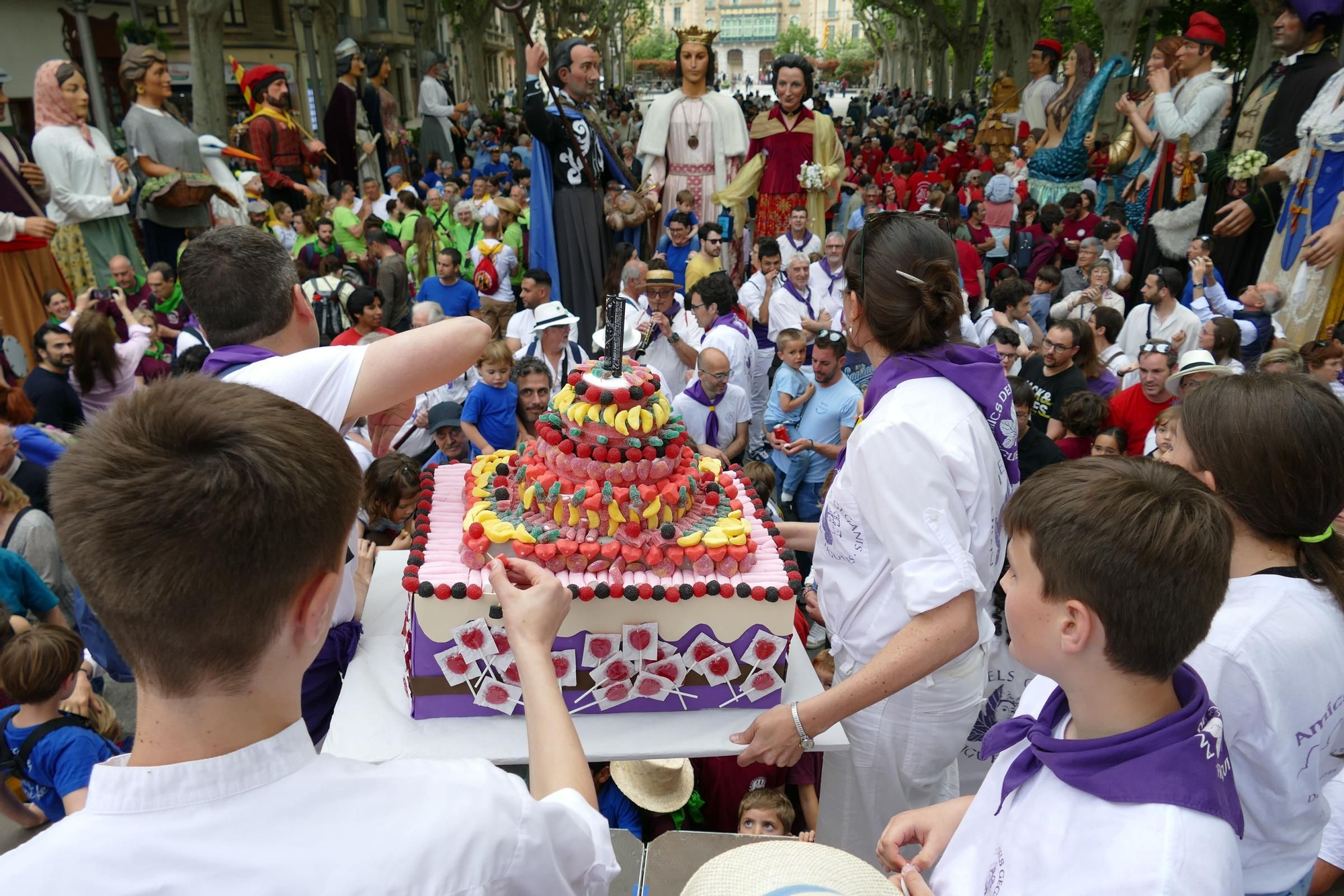La trobada gegantera de la Diada de Santa Creu celebra els 30 anys dels Amics dels Gegants de Figueres
