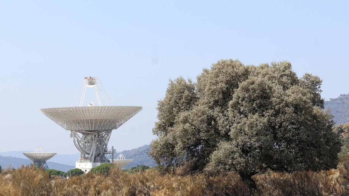 Archivo - Terreno quemado junto a la antena en el complejo de la NASA, a 29 de julio de 2026, en Robledo de Chavela, Madrid (España).