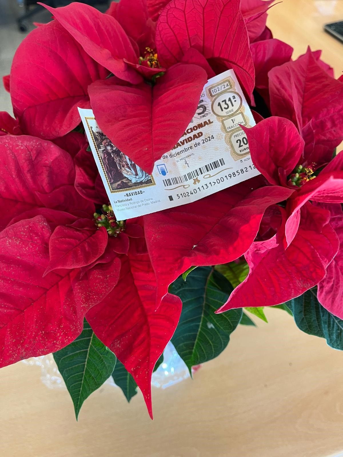 Es más fácil ganar el &#039;Gordo&#039; de la lotería de Navidad que estar vivos, según un investigador de la UPV