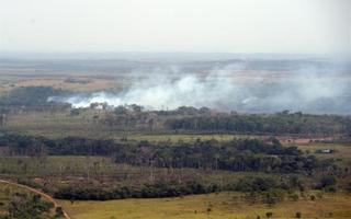 Criminales en Colombia incendian decenas de hectáreas de bosques