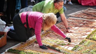 La Laguna alfombra sus calles con flores y marmolina en un Corpus para todos