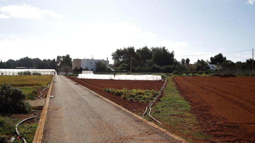 La finca agraria de Ibiza Can Marines amplía su oferta formativa