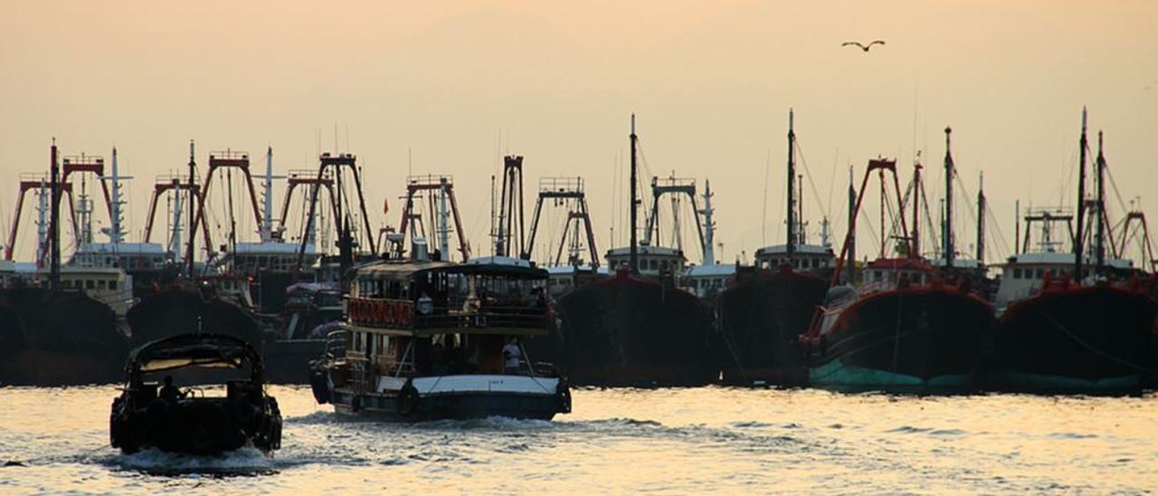 Flota pesquera, amarrada en el puerto de Hong Kong.